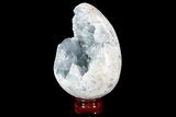 Crystal Filled Celestine (Celestite) Egg Geode - Large Crystals! #88281-2